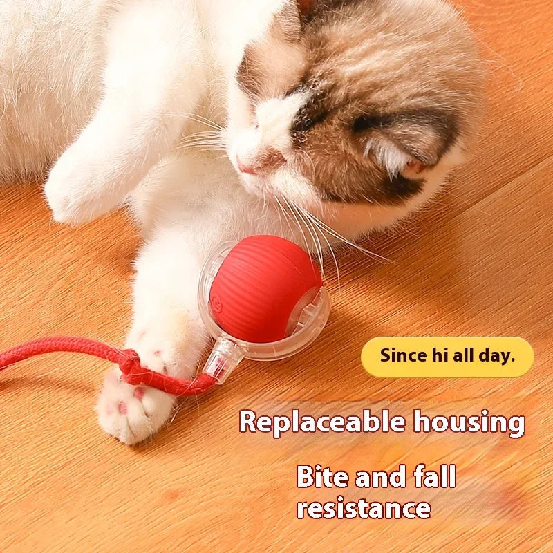 Smart Rolling Pet Toy