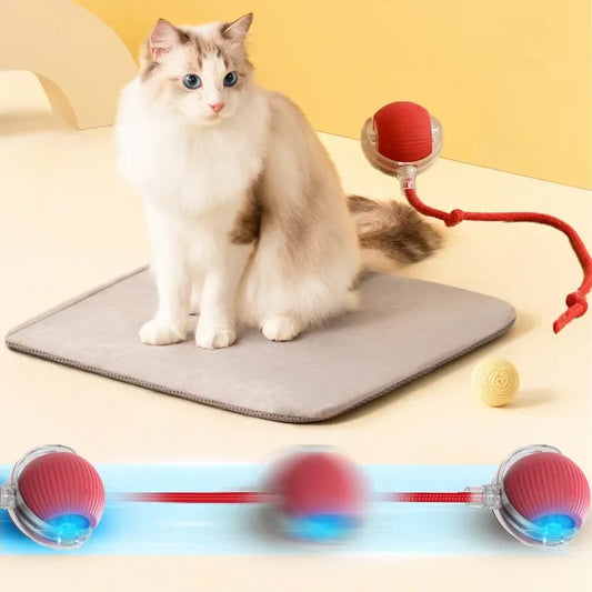 Smart Rolling Pet Toy