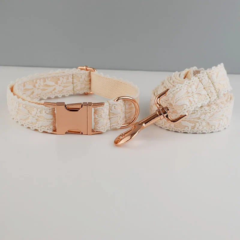 Custom Female Dog Collar