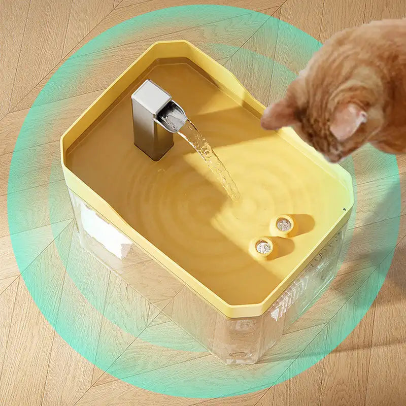 Pet Water Fountain
