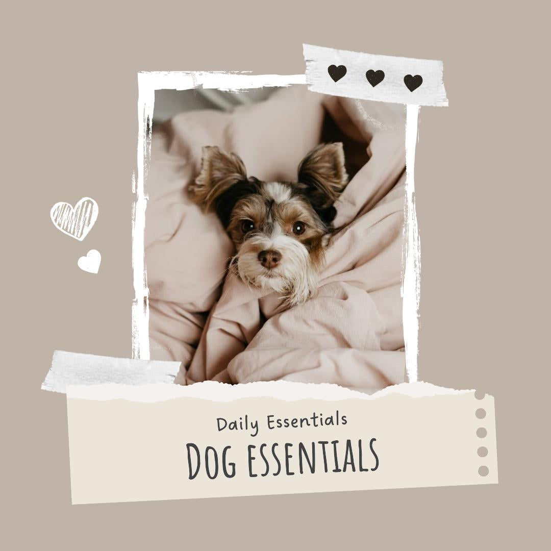 Dog Essentials