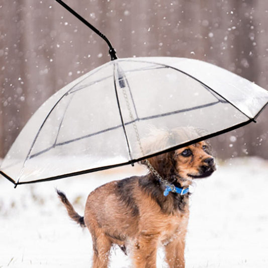 Pet Umbrella With Leash