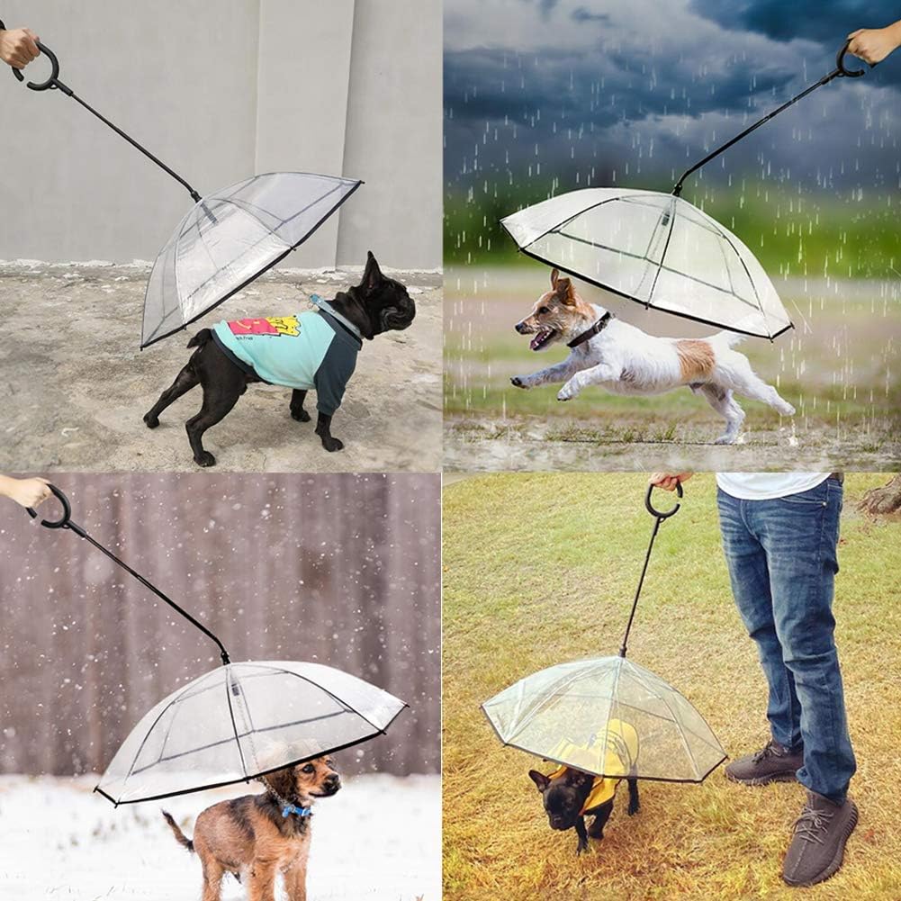 Pet Umbrella With Leash