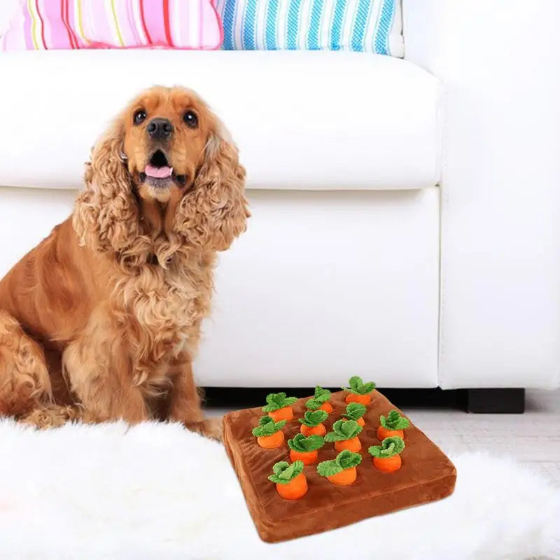 Dog Plush Carrot Toy