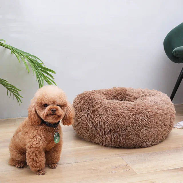 Comfy Dog Donut Bed