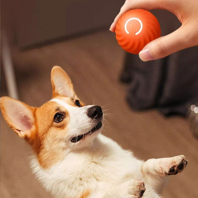 Automatic Smart Dog Toy Ball