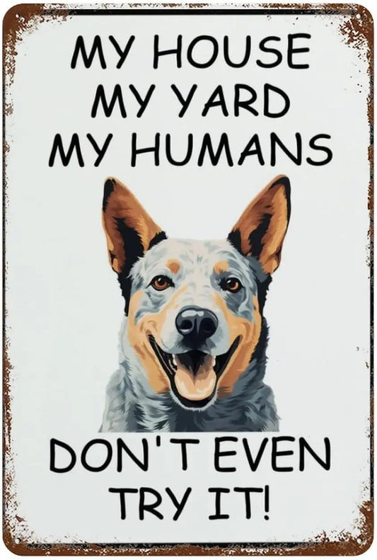 Blue Heeler House Tin Sign