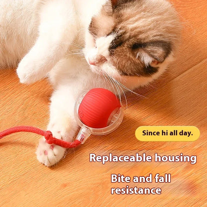 Smart Rolling  Pet Toy