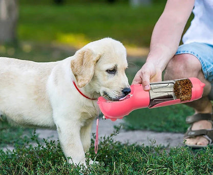 All in One Best Portable Dog Water Bottles for Hiking