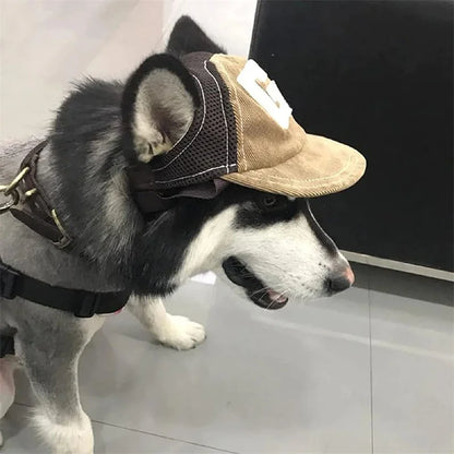 Dog Sunscreen Hat