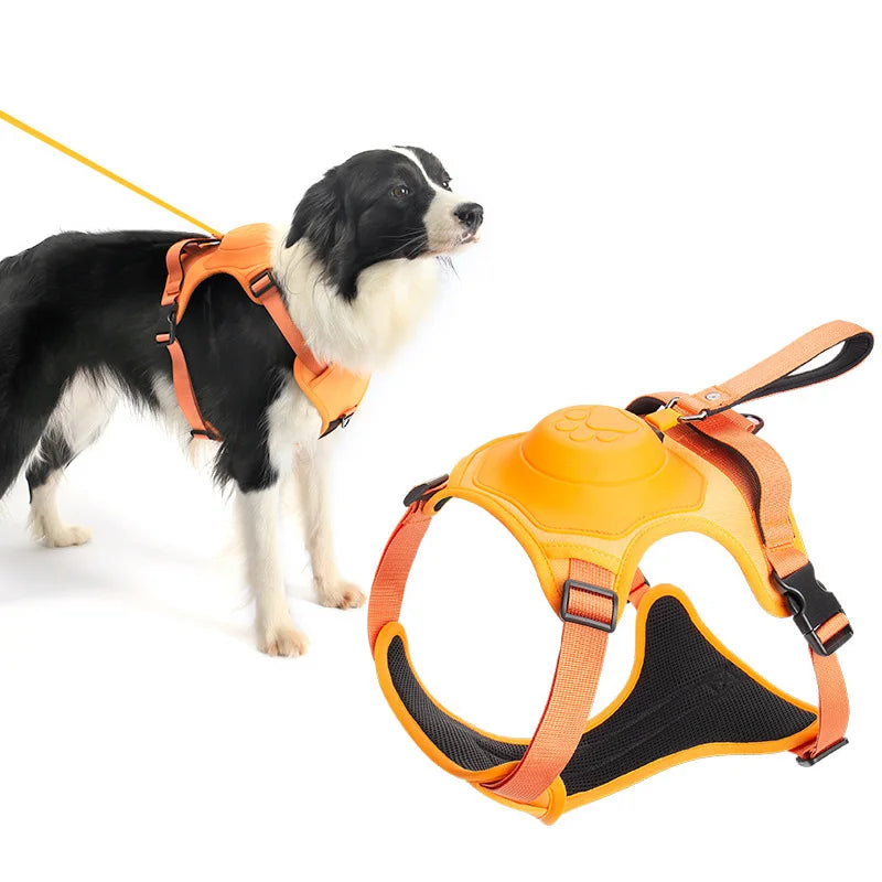 Adjustable Dog Harness & Leash