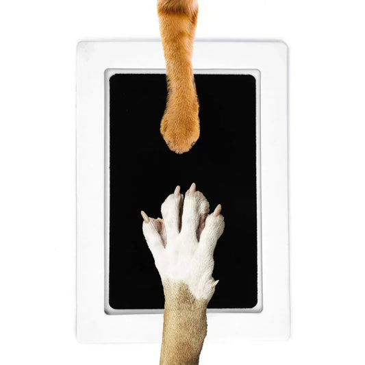 Pet Pawprint Kit