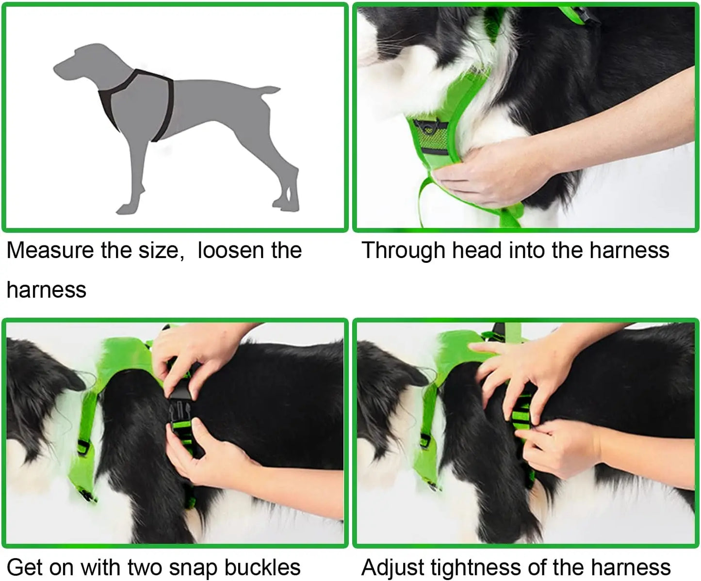 Adjustable Dog Harness & Leash