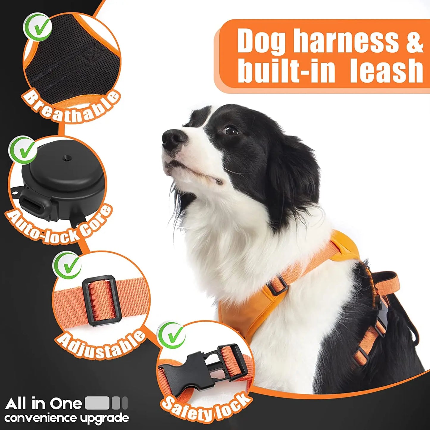 Adjustable Dog Harness & Leash