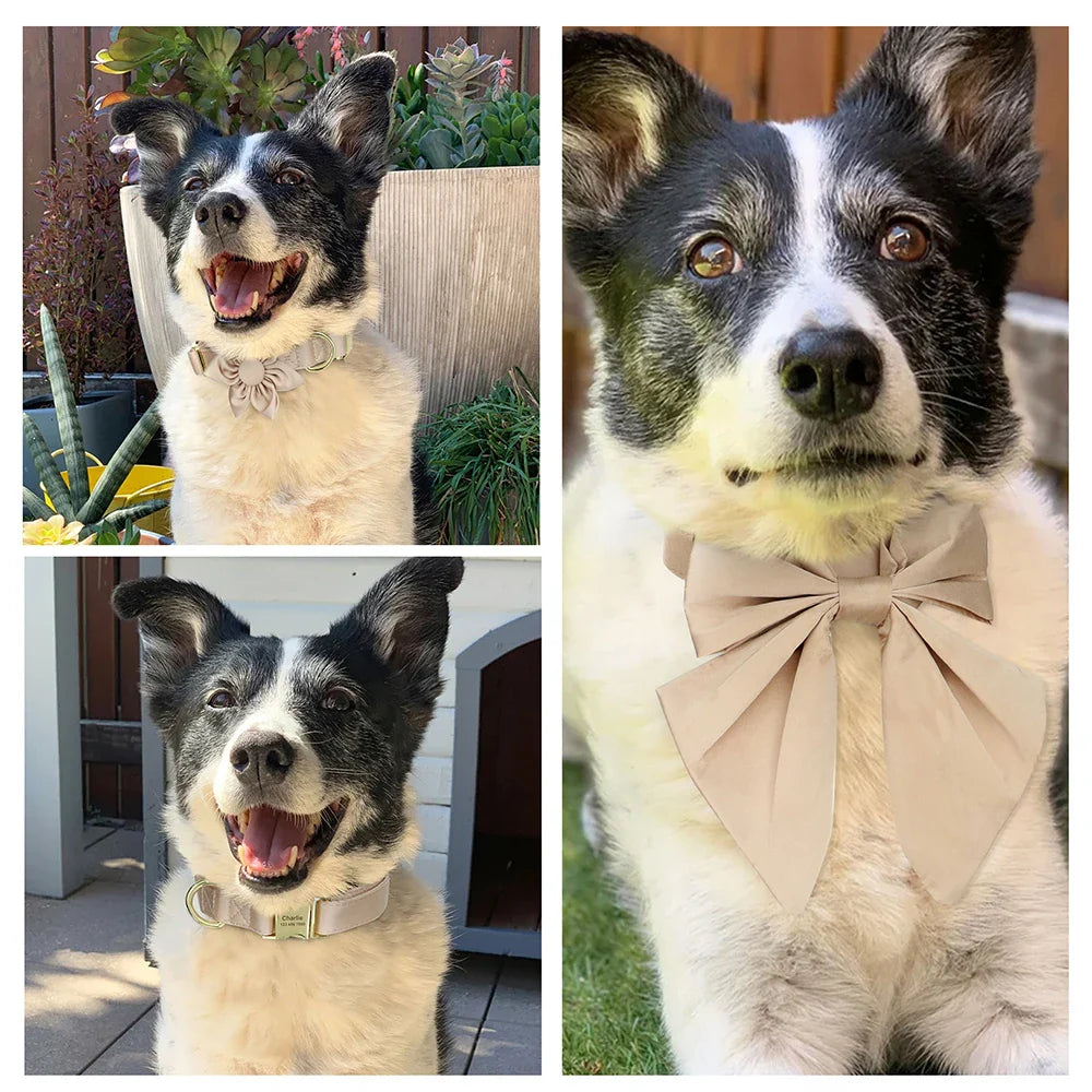 Custom Dog Wedding Bowtie