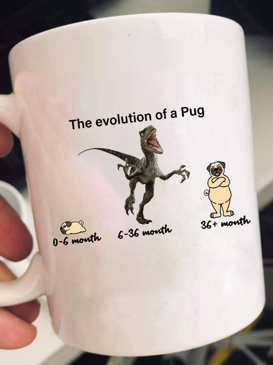 Evolution of Pug Gift Mug