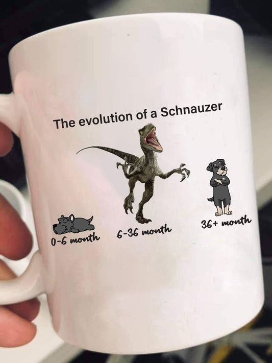 Evolution of Schnauzer Gift Mug